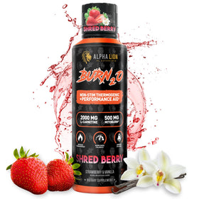 ALPHA LION Burn2O L-Carnitine Liquide 2000mg vue de face