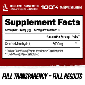 ALPHA LION Créatine Monohydrate 5000mg 60 portions emballage