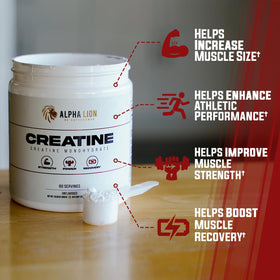 ALPHA LION Créatine Monohydrate 5000mg poudre vue de dessus dans une cuillère
