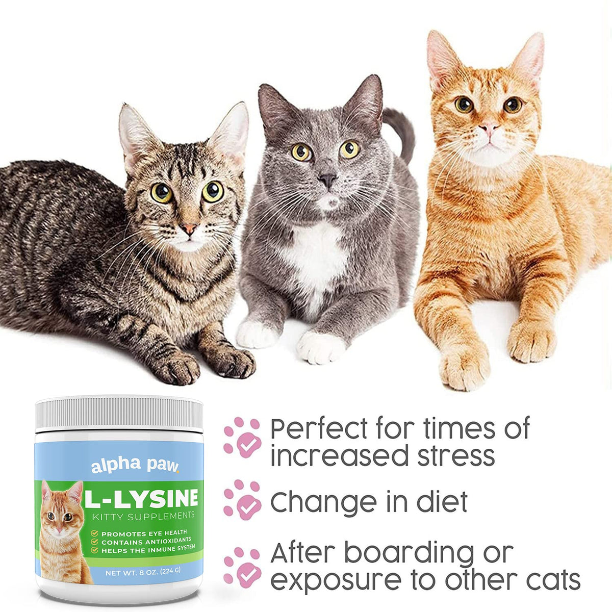 Alpha Paw L-Lysine 227g dans un environnement de cuisine