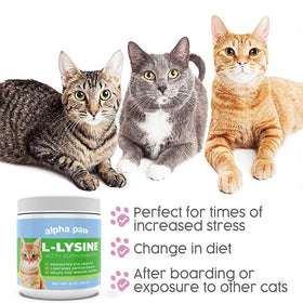 Alpha Paw L-Lysine 227g dans un environnement de cuisine