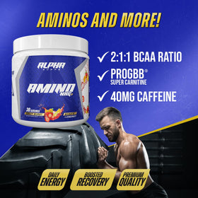 Alpha Supps Amino NRG+ BCAA Poudre Énergie 240g dos de l'emballage