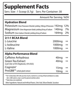 Alpha Supps Amino NRG+ poudre de récupération 240g vue de côté
