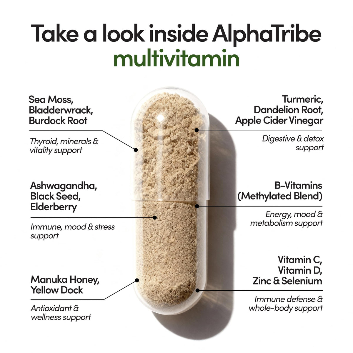 Alpha Tribe Multivitamine avec algues marines et autres ingrédients