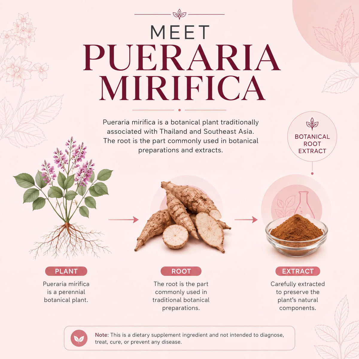 AMALTH Capsules de Pueraria Mirifica 1000 mg 120 Capsules ouvertes