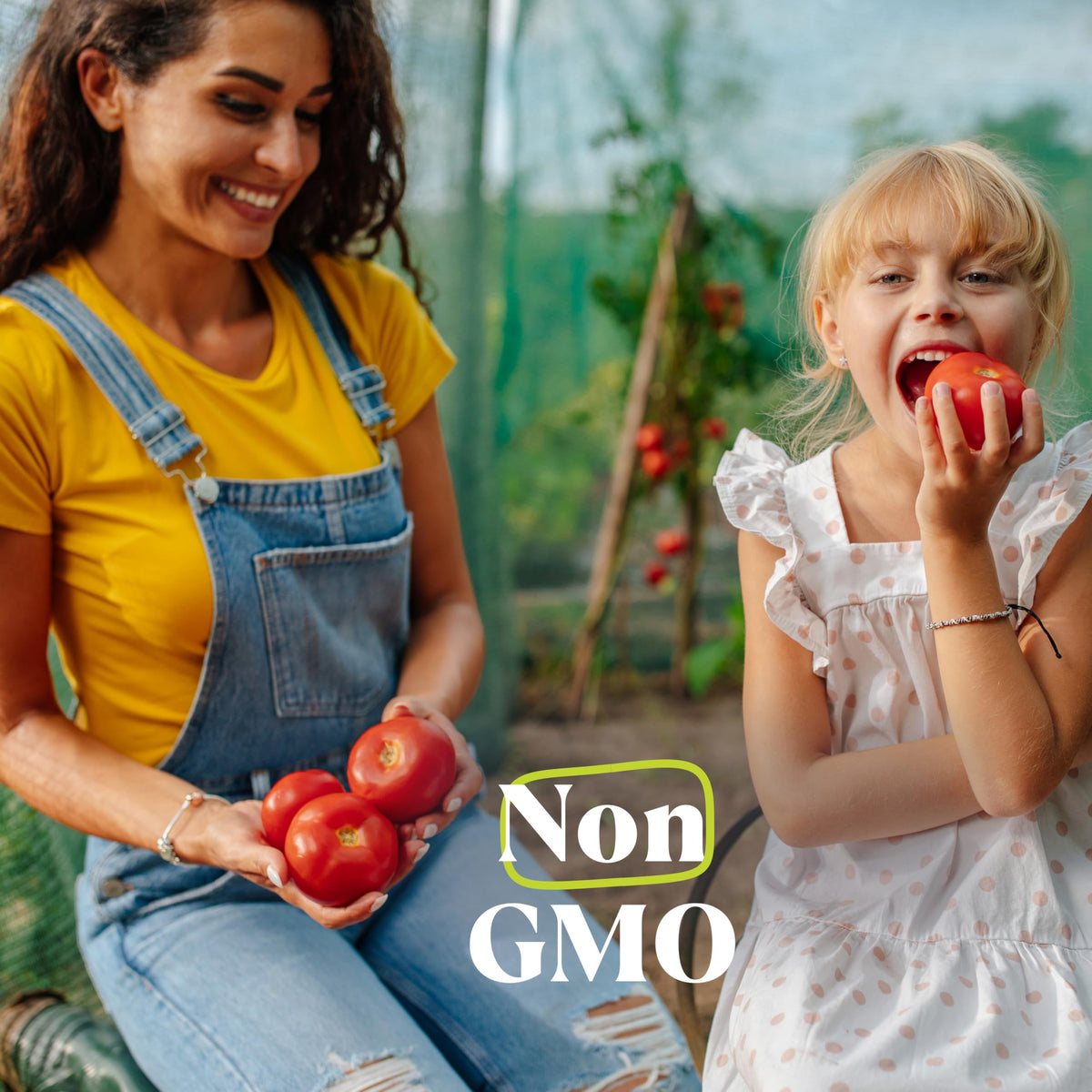 Amazing Grass Kidz Superfood Protéines Végétales Chocolat Extrême étiquette et informations nutritionnelles
