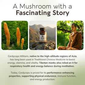 Ambiance santé avec les capsules de Cordyceps de Longevity Botanicals