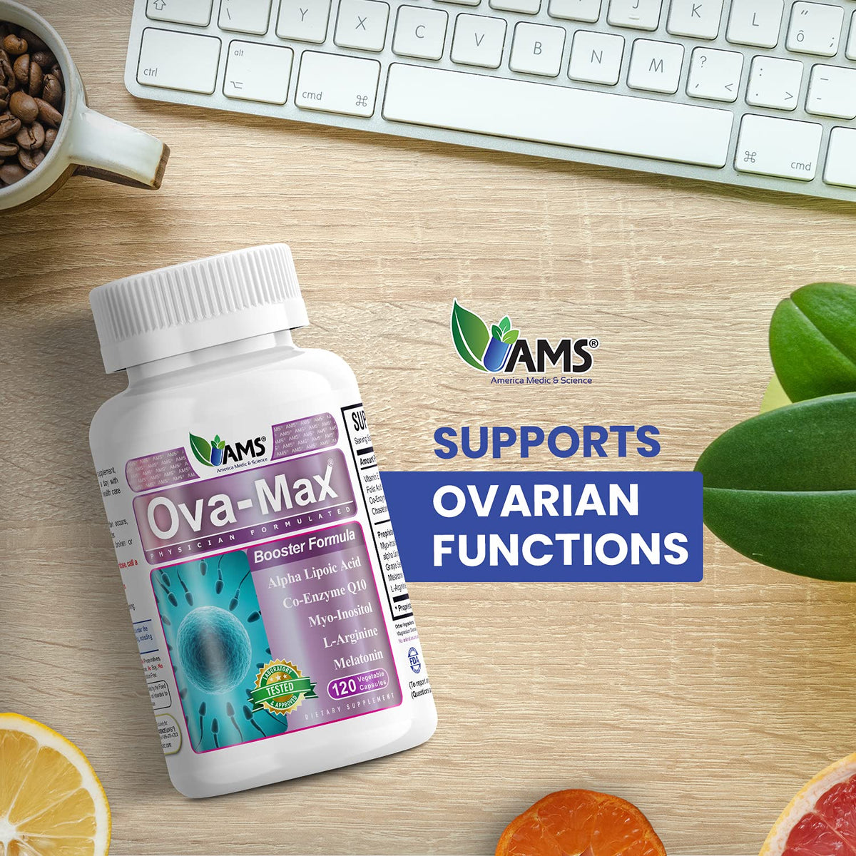 America Medic & Science OVA-Max 120 capsules sur fond blanc