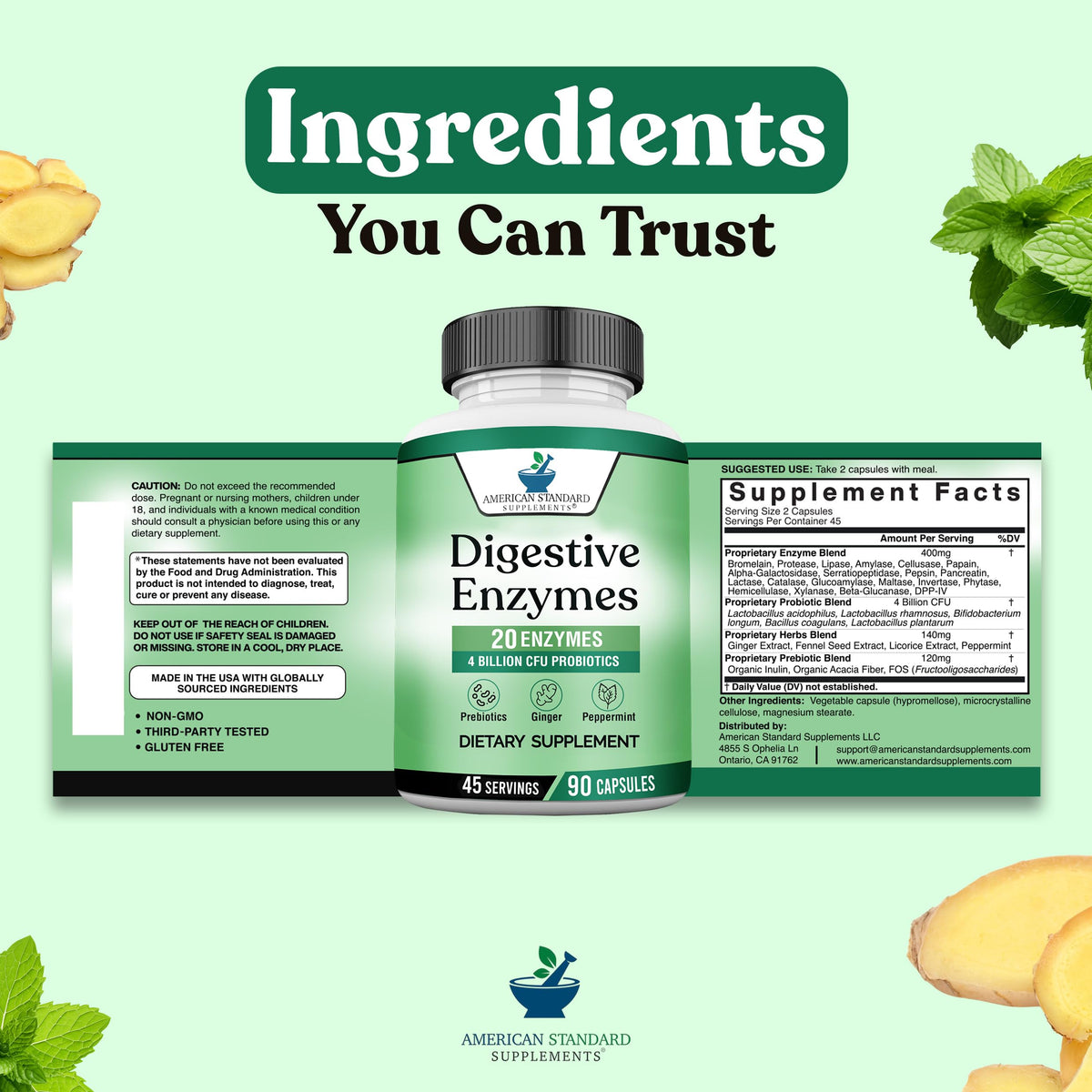 American Standard Supplements Multi-Enzymes avec ingrédients et dosage