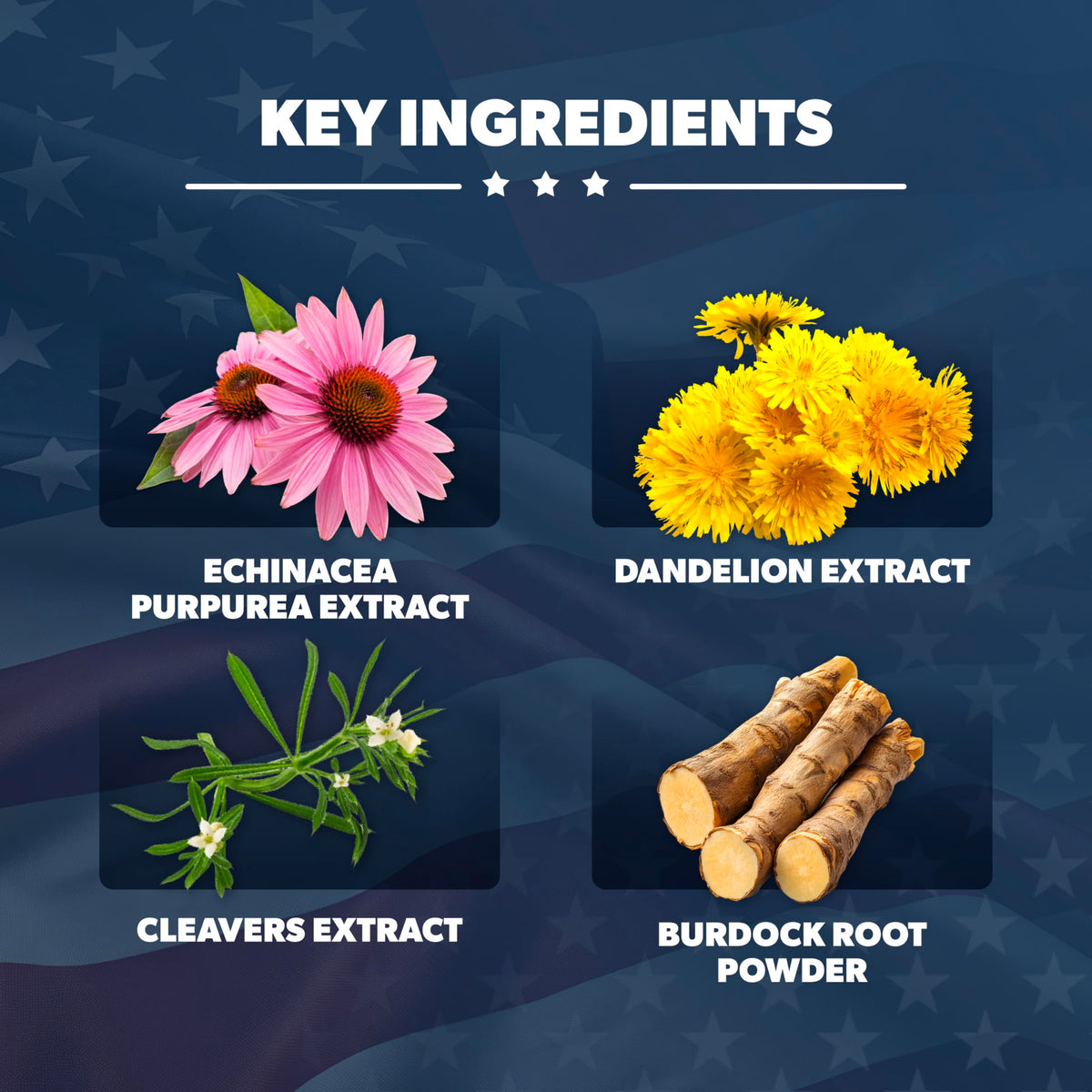 AMERICAN VITALITY LymphaVive 150g emballage et contenu