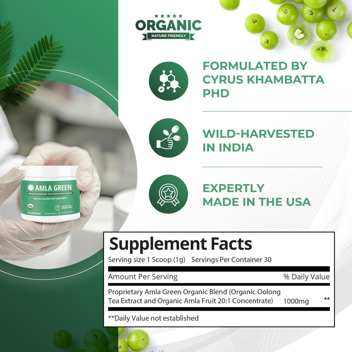 Amla Green Poudre d'Amla 20X 82g vue arrière