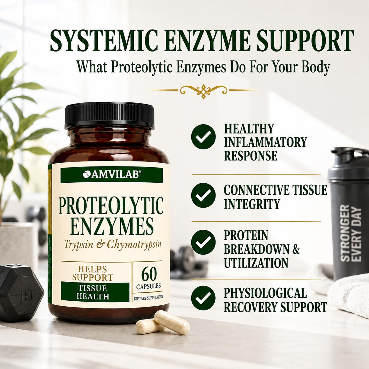 AMVILAB Complexe d'Enzymes Protéolytiques avec étiquette