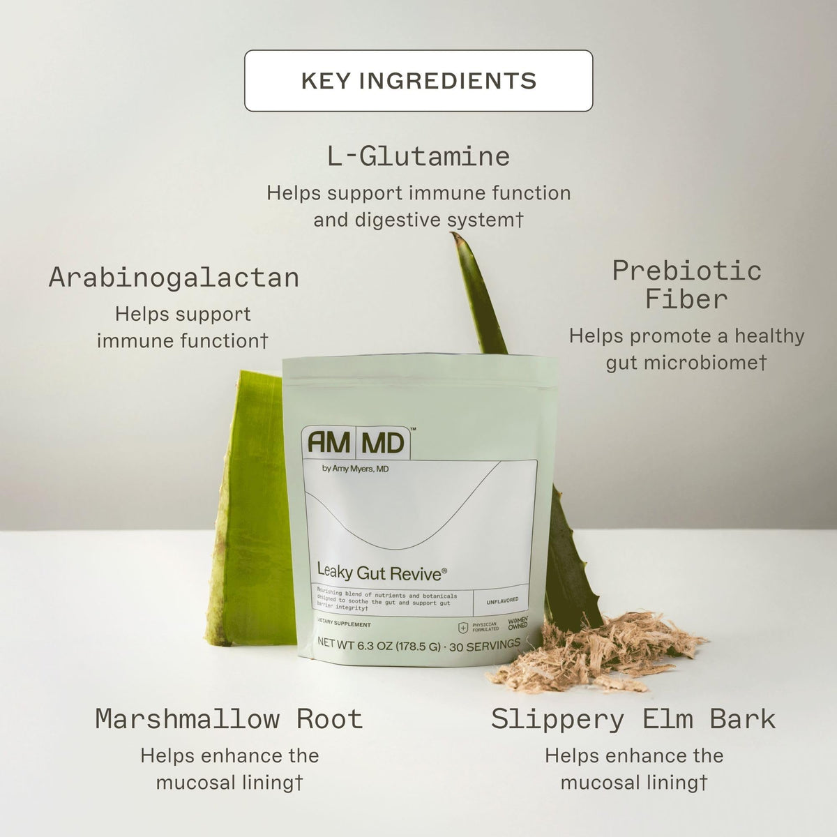 Amy Myers MD Leaky Gut Revive 191g cuillère de poudre