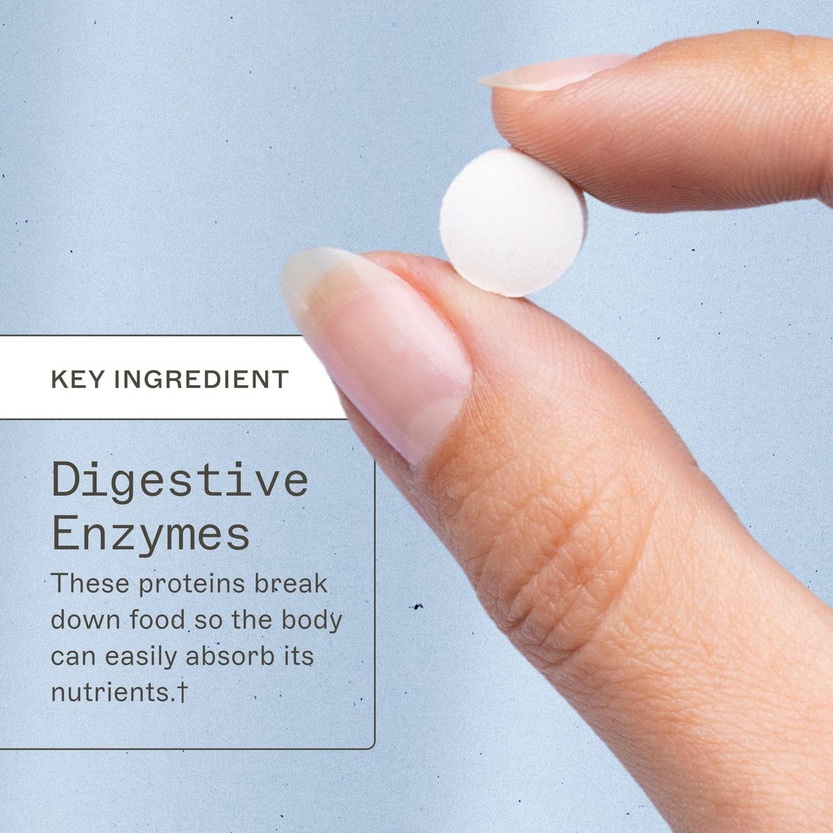 Amy Myers MD Multi-Enzymes 180 comprimés - vue arrière