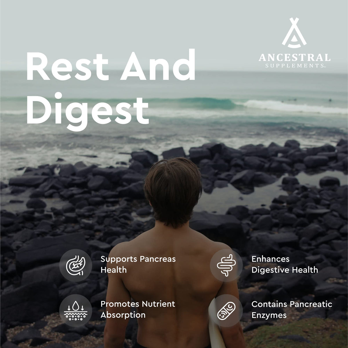 Ancestral Supplements Complément Alimentaire Pancréas Bovin 500mg - Flacon arrière