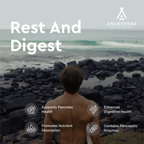 Ancestral Supplements Complément Alimentaire Pancréas Bovin 500mg - Flacon arrière