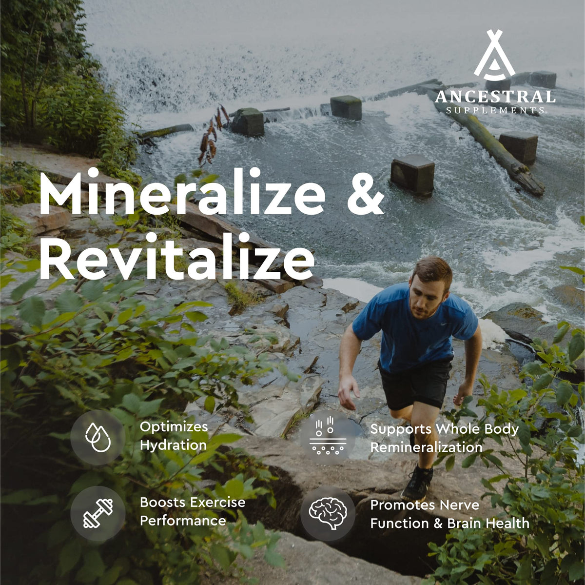Ancestral Supplements Minéraux & Électrolytes capsules ouvertes