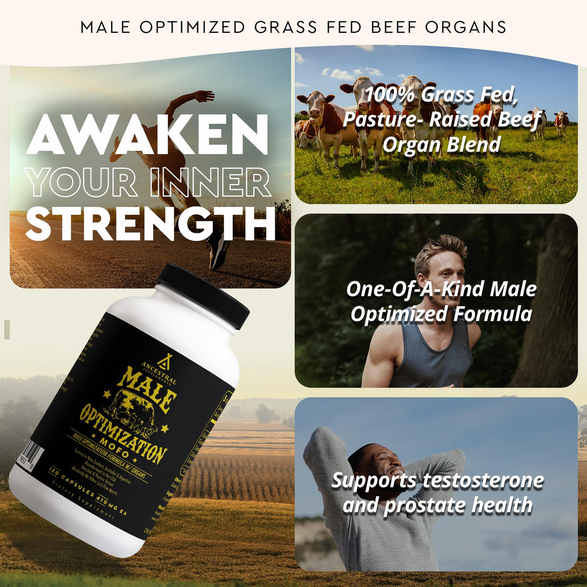 Ancestral Supplements Mofo Complément Alimentaire étiquette