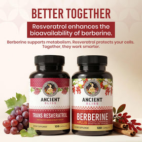 Ancient Bliss Berberine HCL ingredients close-up