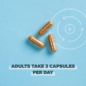 Ancient Nutrition Chardon-Marie capsules dans un bol