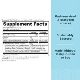Ancient Nutrition Gut Restore Multi Collagen Protein 308g scoop with powder