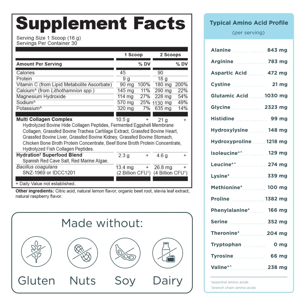 Ancient Nutrition Multi Collagen Advanced Hydrate 581g en poudre dans une cuillère