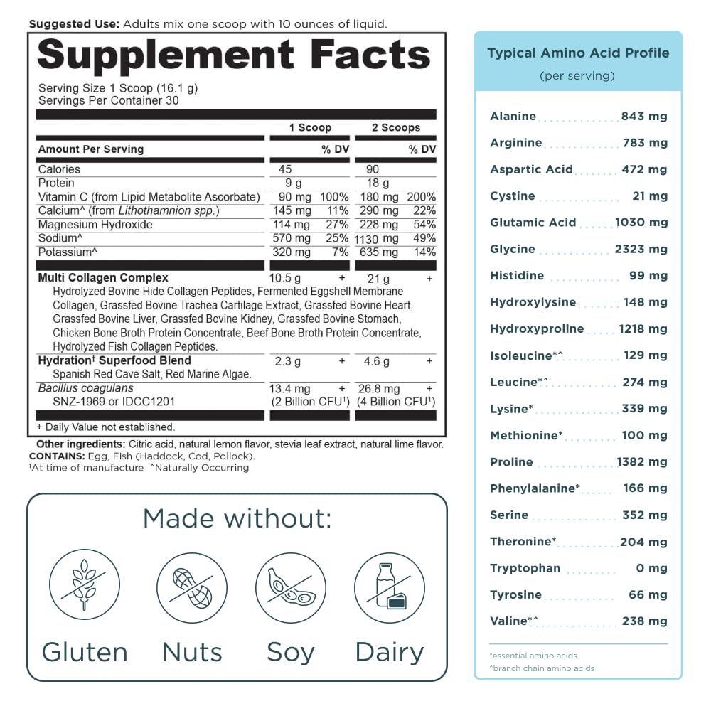 Ancient Nutrition Multi Collagen Advanced Hydrate 590g en gros plan sur le produit
