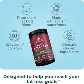 Ancient Nutrition Peptides de Collagène Hydrolysé Avancé 549g poudre dans une cuillère