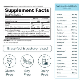 Ancient Nutrition Poudre de Collagène Hydrolysé 558g en utilisation