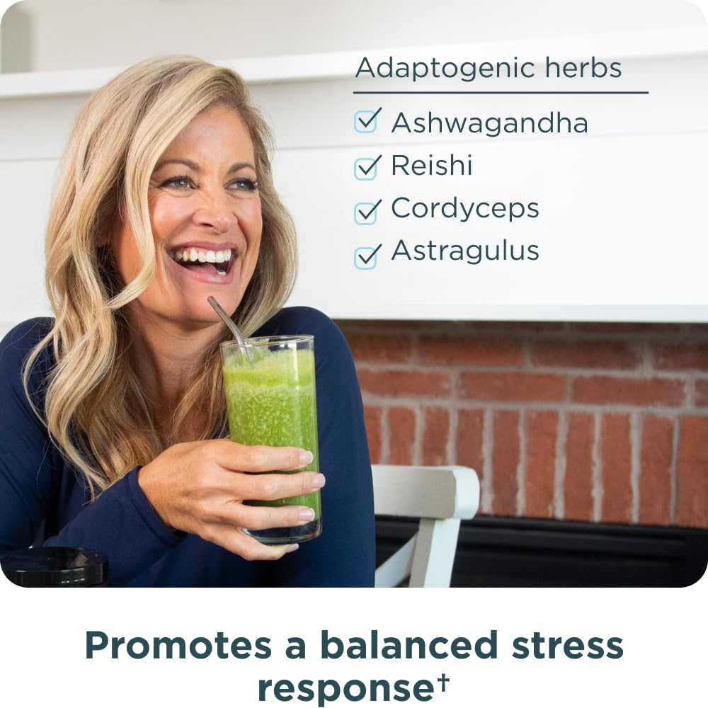 Ancient Nutrition Poudre de Super Greens Bio 322g en utilisation dans un smoothie