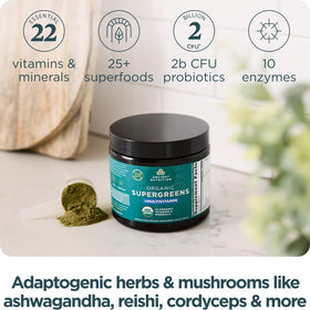 Ancient Nutrition Poudre de Super Greens Bio + Multivitamines 170g avec cuillère