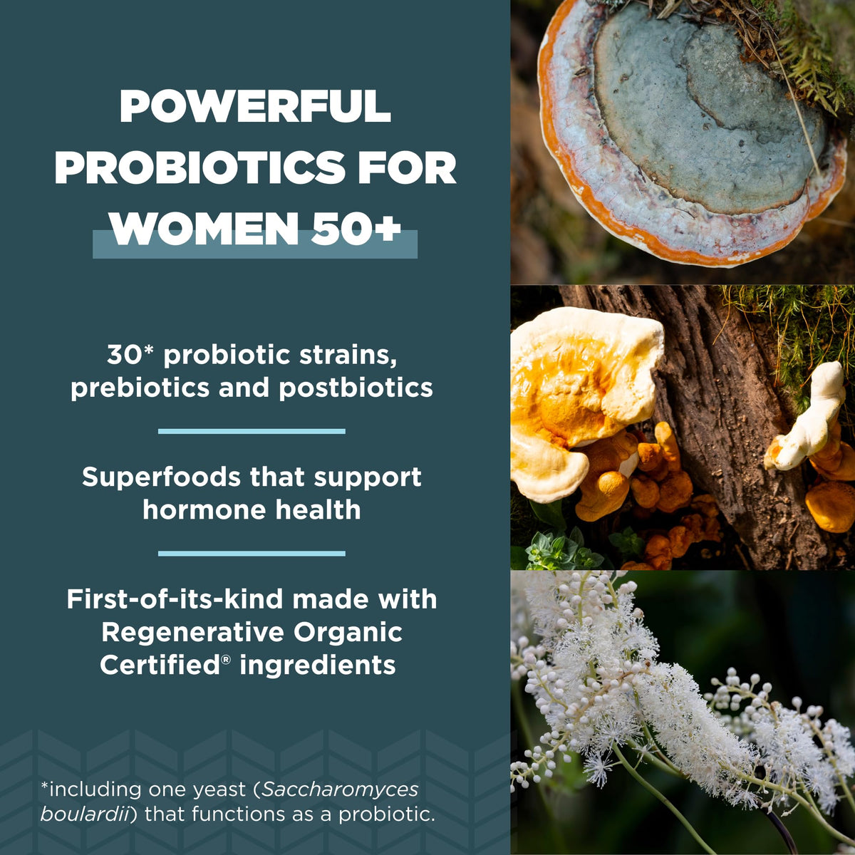 Ancient Nutrition Probiotiques Biologiques Certifiés 50+ capsules ouvertes