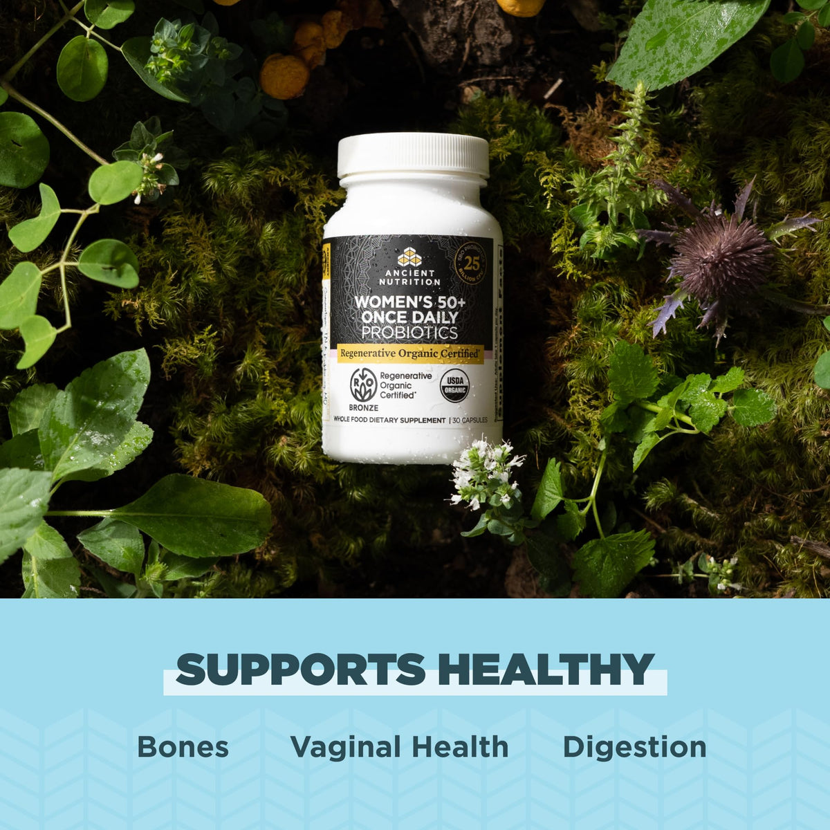 Ancient Nutrition Probiotiques Biologiques Certifiés 50+ capsules sur une table