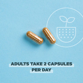 Ancient Nutrition Probiotiques Extra Fortes Femmes capsules sur une table