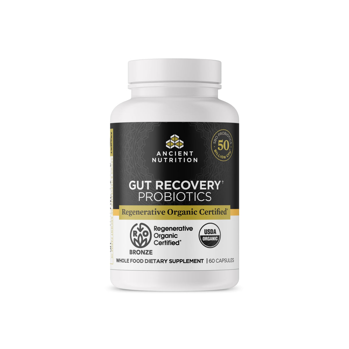 Ancient Nutrition Probiotiques Récupération Intestinale 100g, vue avant