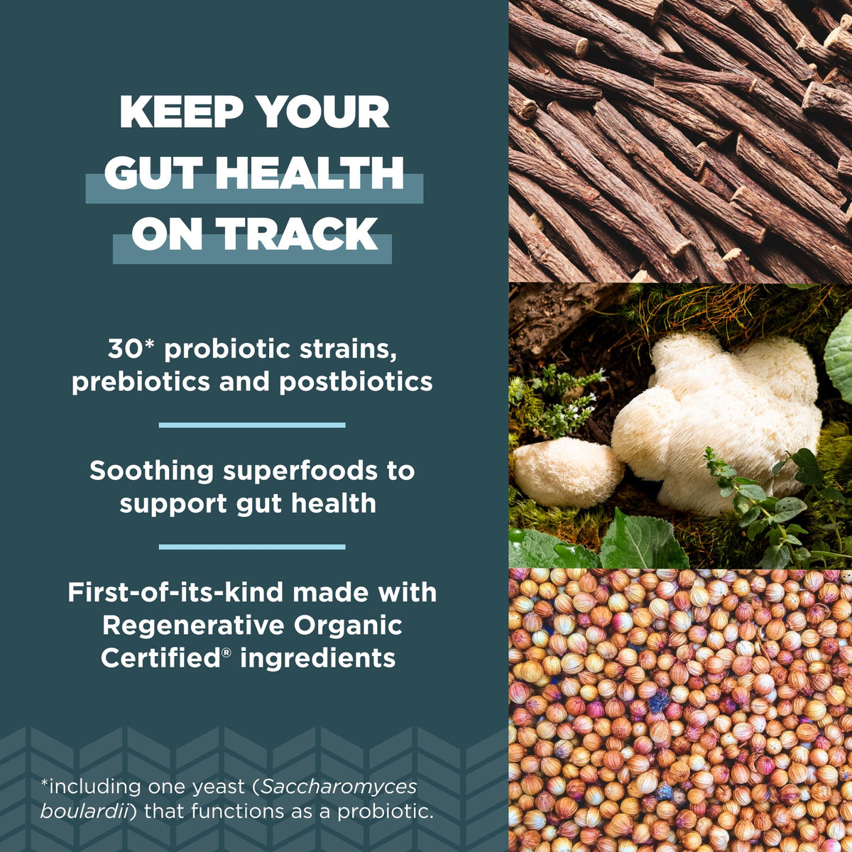 Ancient Nutrition Probiotiques Récupération Intestinale, étiquette et ingrédients