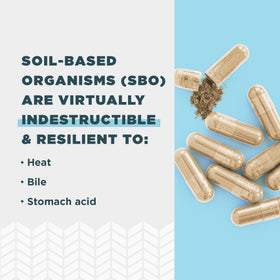 Ancient Nutrition SBO Probiotiques Gut Restore capsules ouvertes
