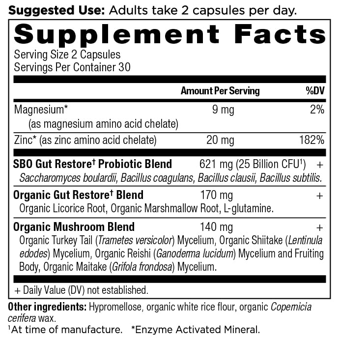 Ancient Nutrition SBO Probiotiques Gut Restore capsules sur une table