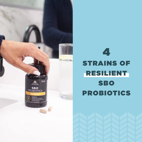 Ancient Nutrition SBO Probiotiques Gut Restore pot avec couvercle