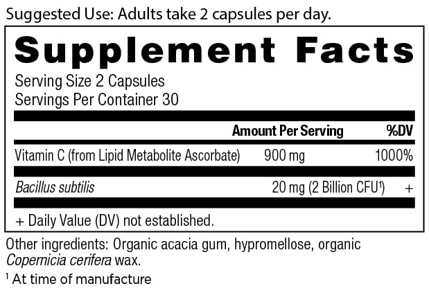 Ancient Nutrition Vitamine C 900mg + Probiotiques vue arrière