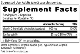 Ancient Nutrition Vitamine C 900mg + Probiotiques vue arrière