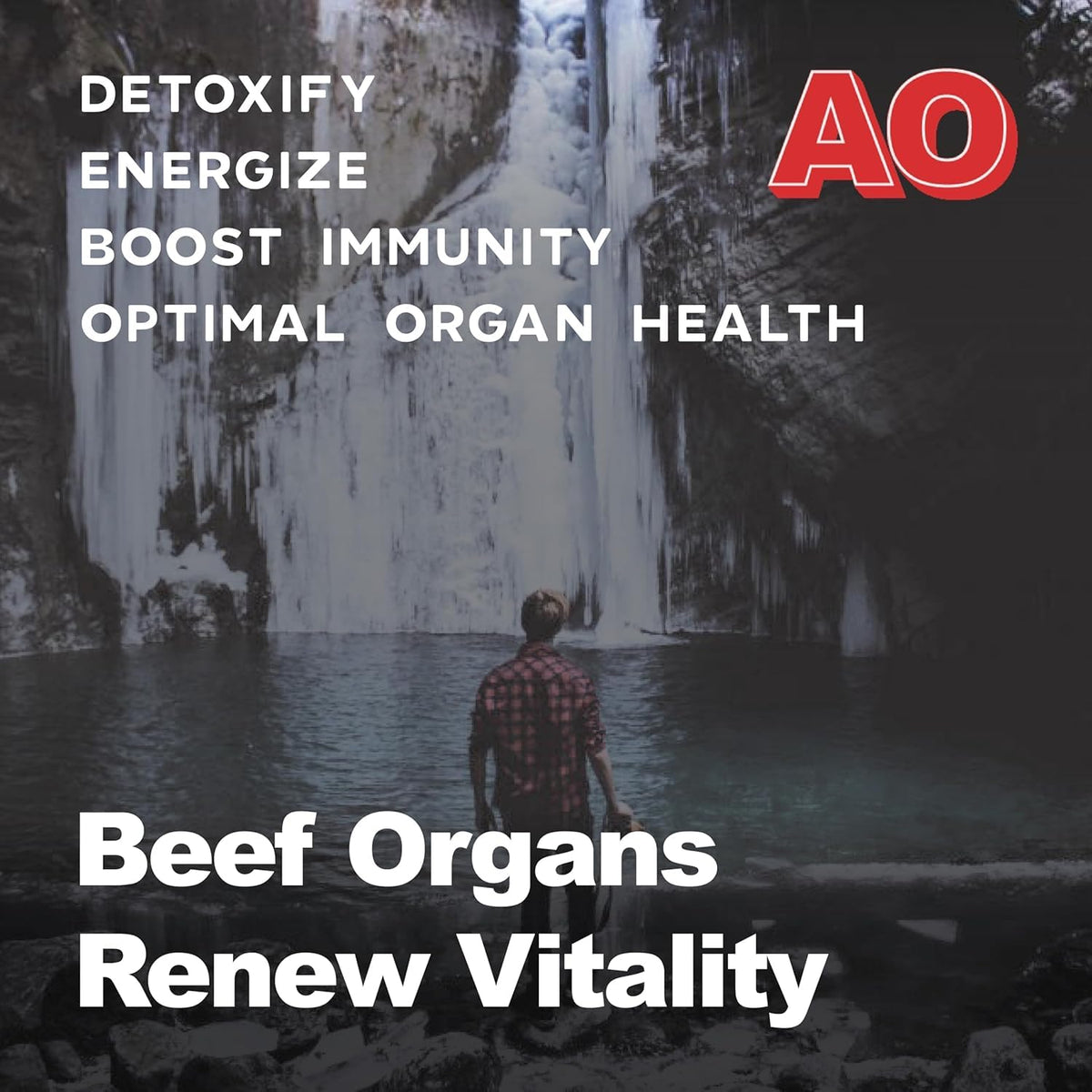 Ancient Origins Complément Alimentaire 4500 mg, capsules dans une main