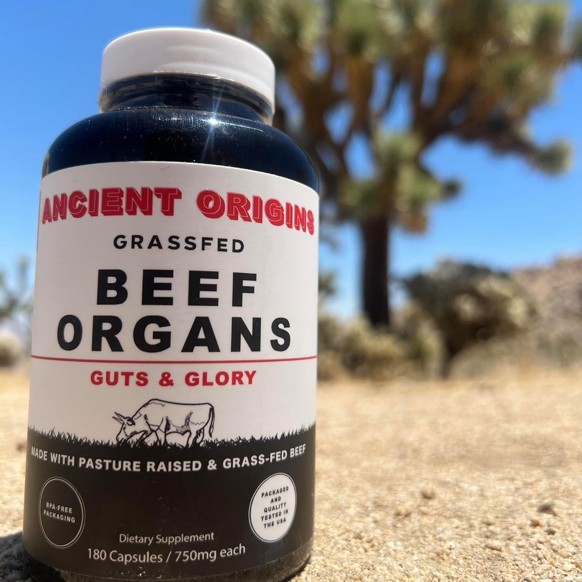 Ancient Origins Complément Alimentaire 4500 mg, flacon sur une table