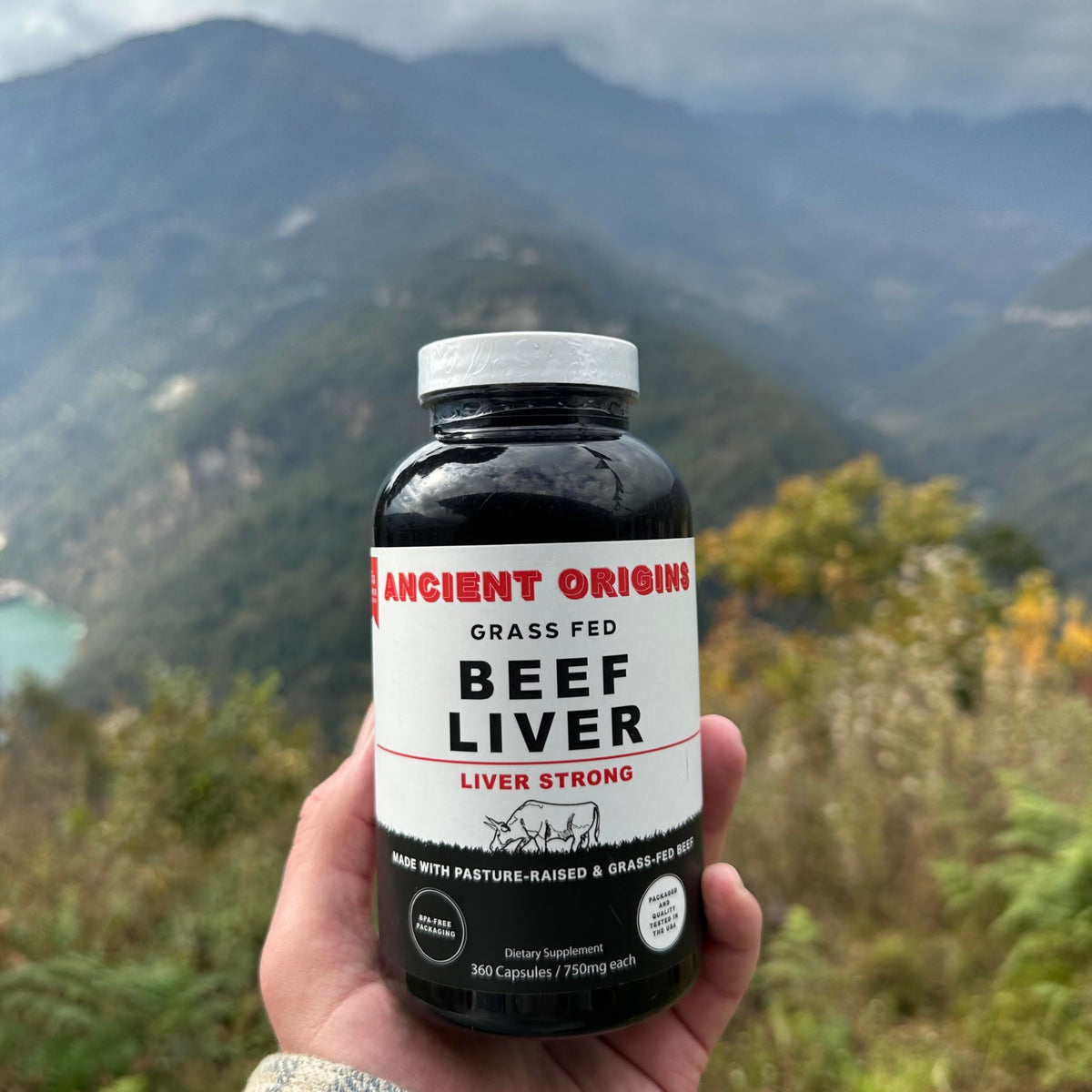 Ancient Origins Foie de Boeuf Élevé à l'Herbe 360 Capsules ouvertes montrant les capsules