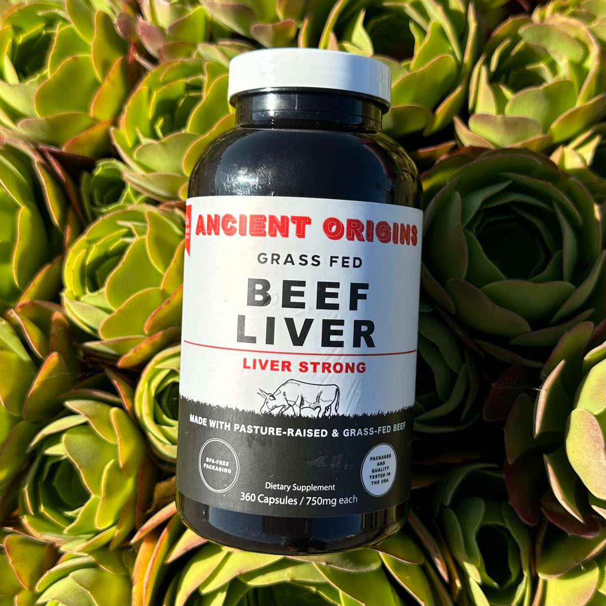 Ancient Origins Foie de Boeuf Élevé à l'Herbe 360 Capsules vue arrière