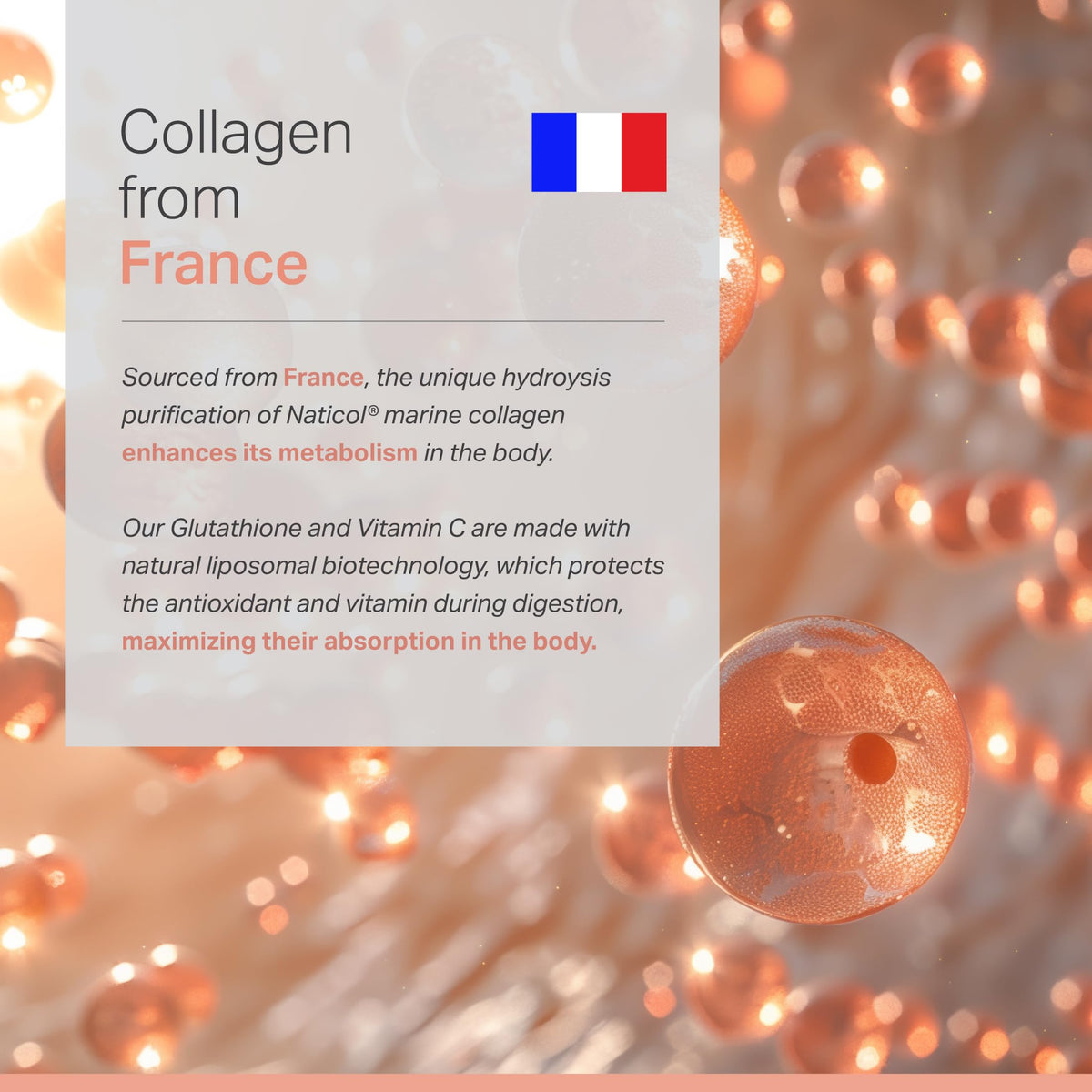 Anew Vita complexe liposomal glutathione sur table