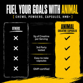 Animal Capsules de Créatine Monohydrate 300 Comp. avec étiquette