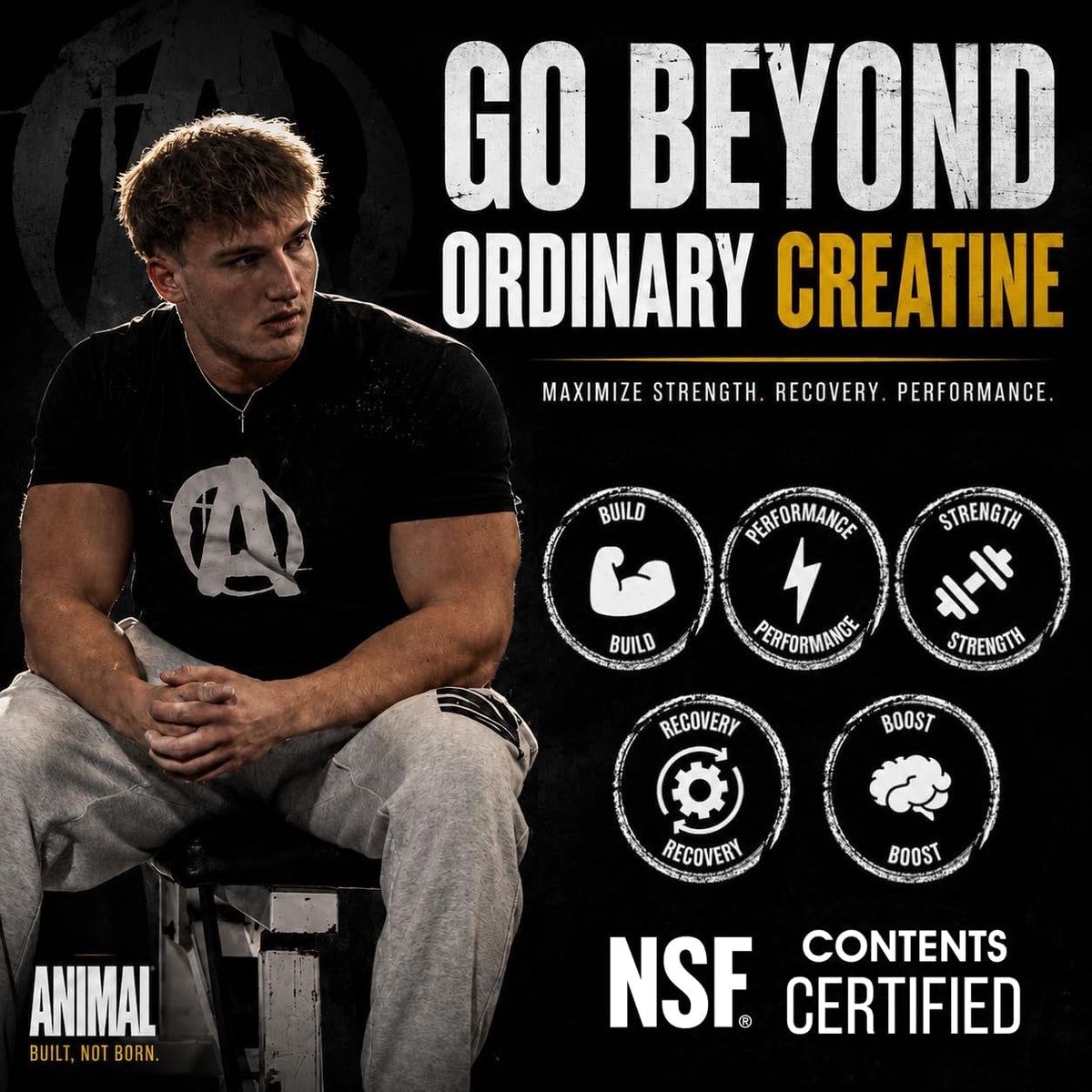 Animal Capsules de Créatine Monohydrate 300 Comp. côté