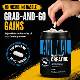 Animal Capsules de Créatine Monohydrate 300 Comp. en gros plan