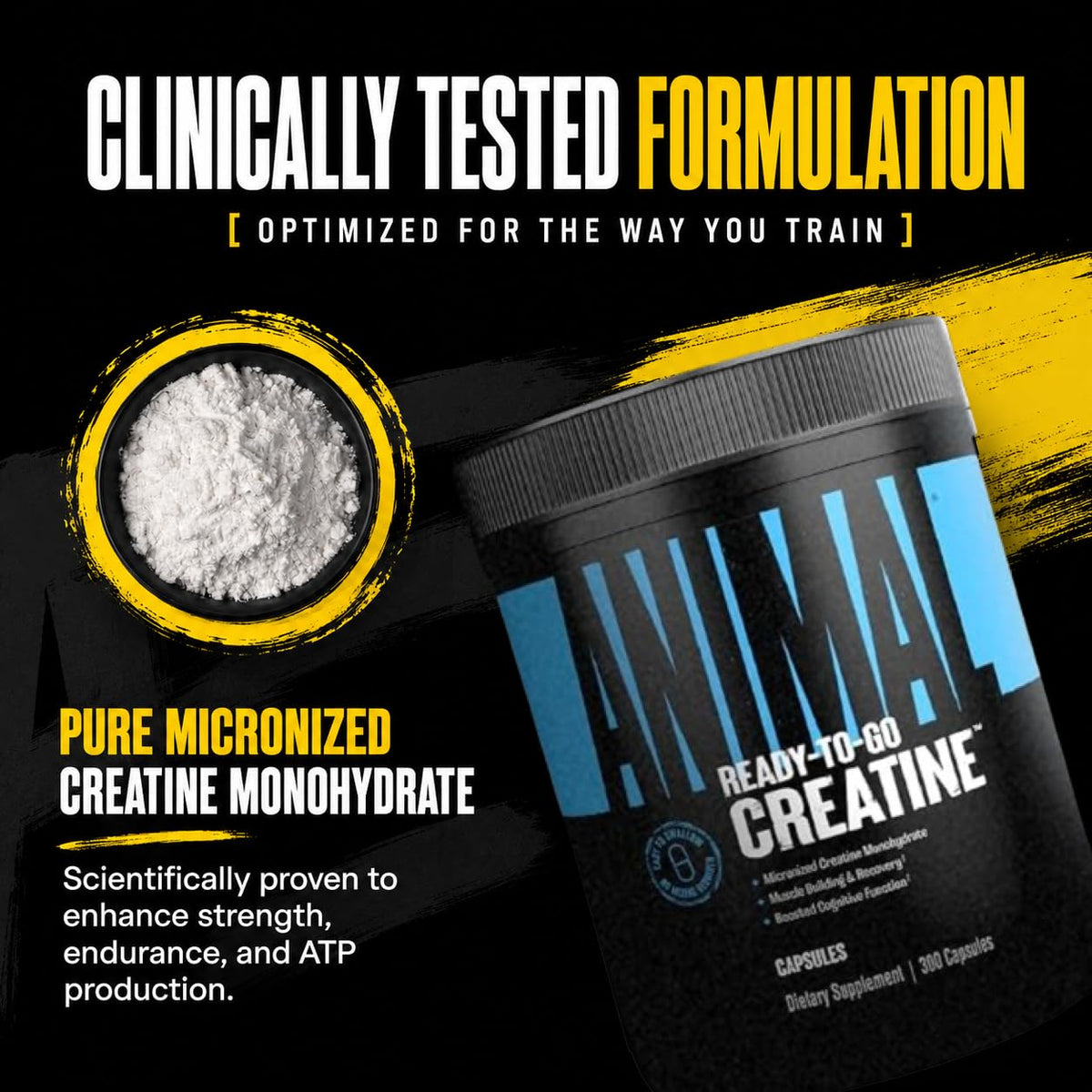 Animal Capsules de Créatine Monohydrate 300 Comp. en mode de vie actif